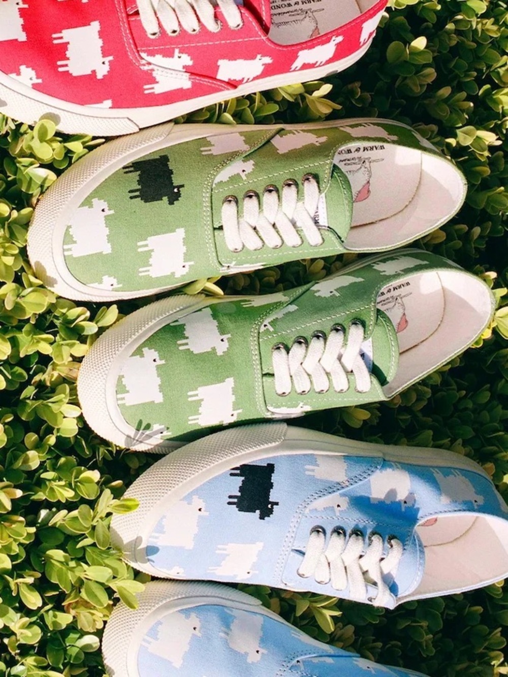 SPERRY‎ x WARM & WONDERFUL Canvas Sneakers